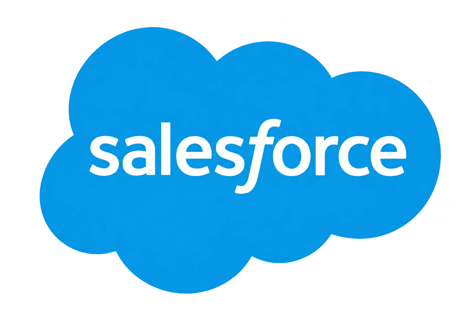 Salesforce Partner
